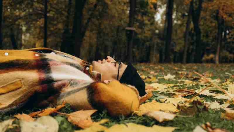 A man in a colorful coat lies peacefully among fall leaves in a serene forest setting., tags: zwischen und - pexel